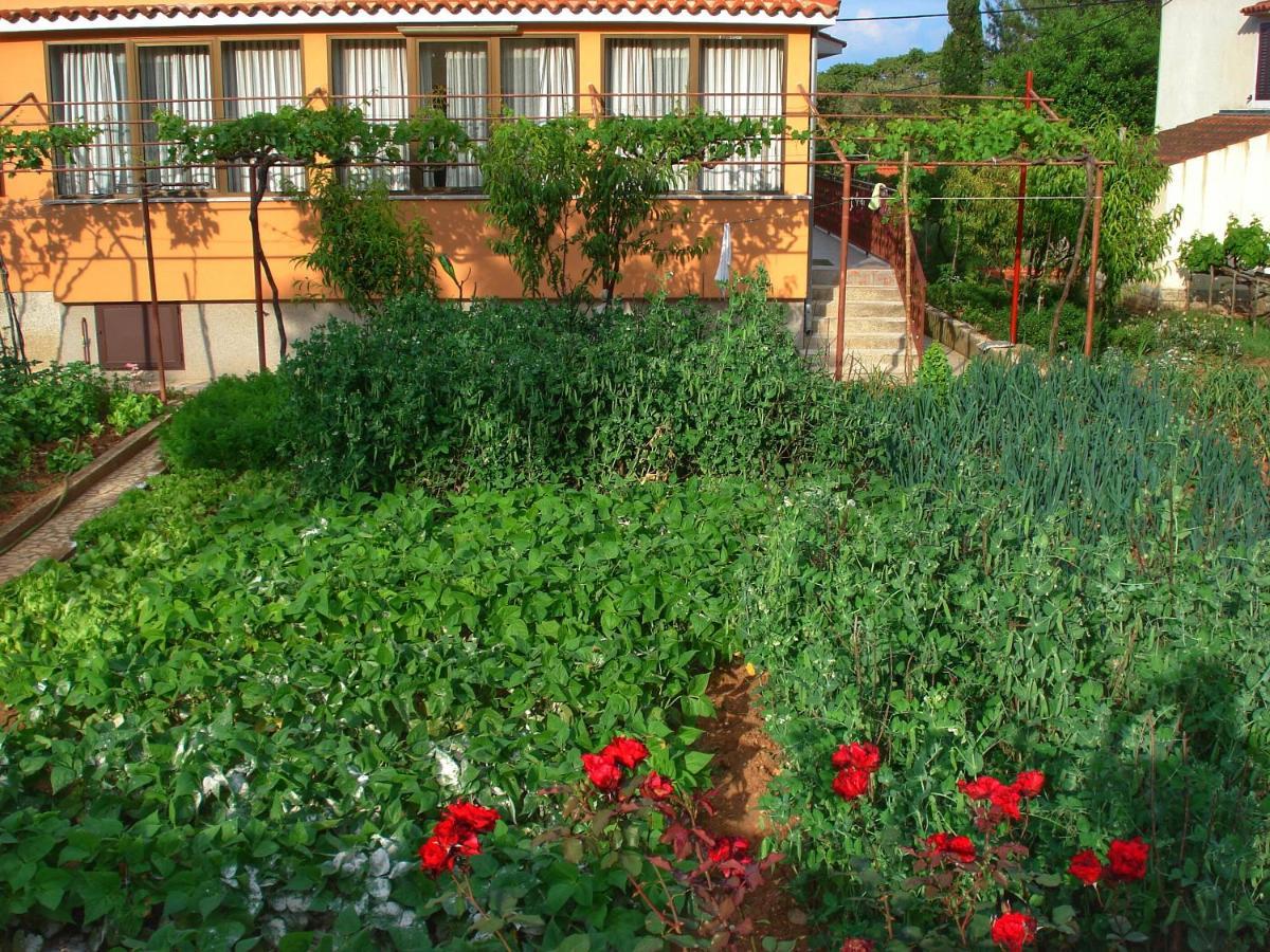 Apartments Sokolic Nerezine Exterior foto